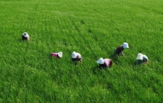 FarmERP platform being used for Village Transformation Projects | FarmERP