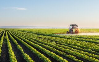 How FarmERP is digitally transforming Agribusinesses | FarmERP