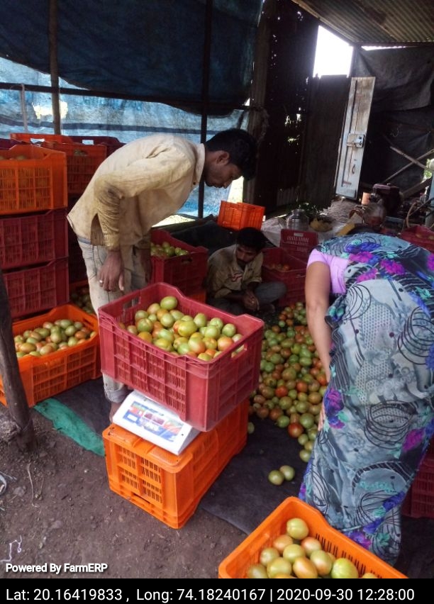 uberization-of-agriculture-a-game-changing-project-for-smallholder-vegetable-growers | FarmERP uberization-of-agriculture-a-game-changing-project-for-smallholder-vegetable-growers | FarmERP