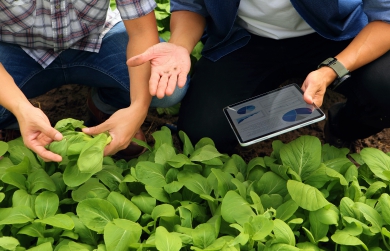 SaaS-based Agriculture Reinforcing Smart Farming Tools and Strategies | FarmERP