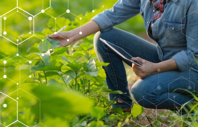 FARMERP_Plantation_Blog | FarmERP