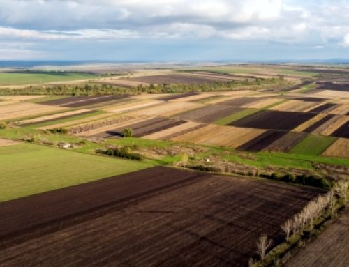 6 Ways How Agriculture Satellite Imagery Builds and Bolsters Food Security