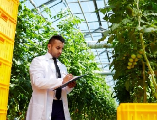 How Your Contract Farming Company Can Flourish Into a Profitable Business