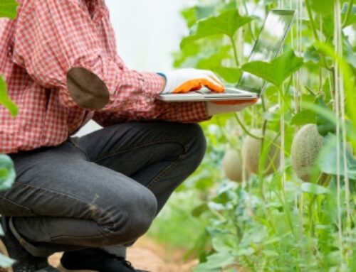 Agritech-driven Plantation Farming: Powering Up Potential of Agri Sector